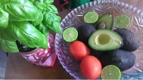 guacamole ingredients the empress woman